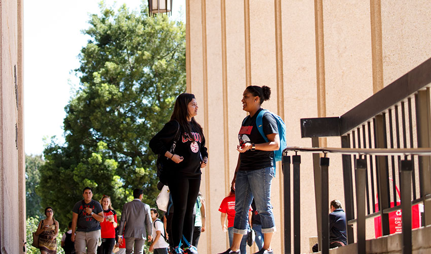 Two women engaged in conversation on the steps of a library building, sharing ideas and enjoying their time together.